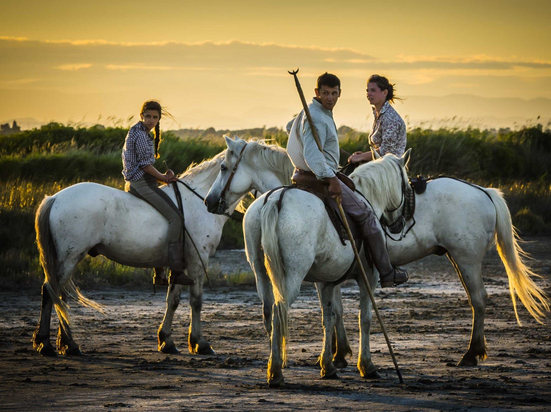 camargue cowboys